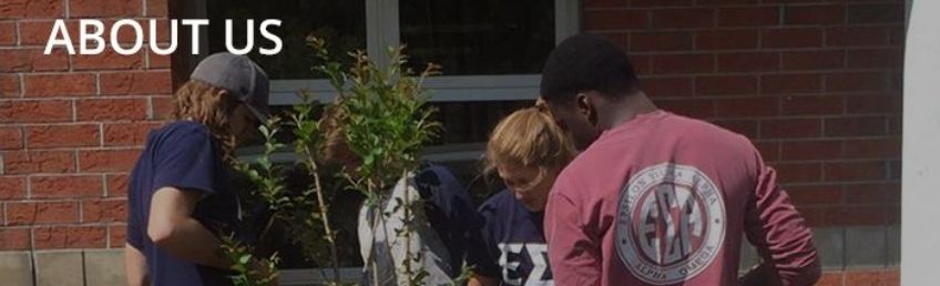 Collegiate ESA members at Florida State University plant trees as a chapter service project.